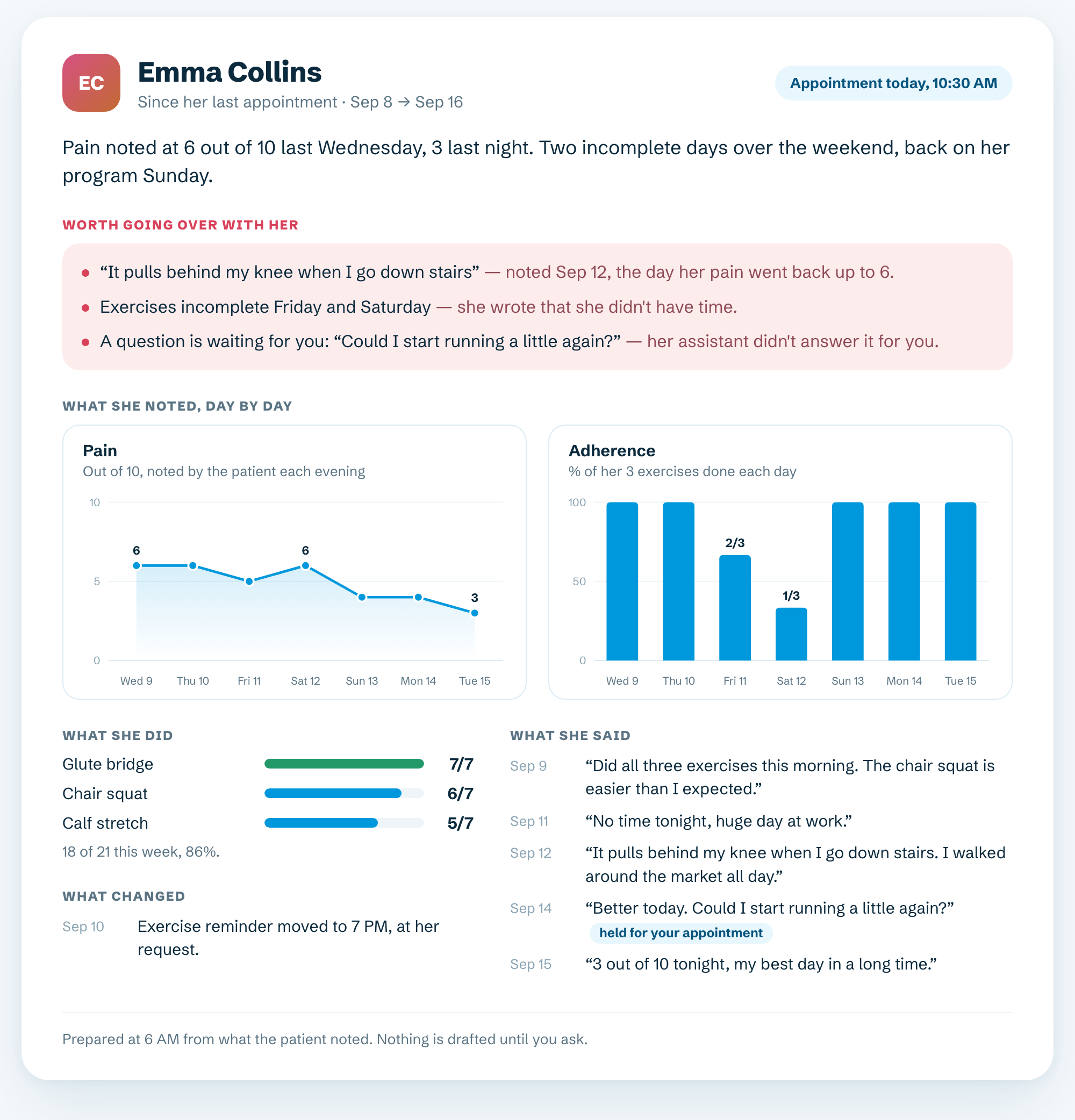 A client brief: a headline, three points worth going over, a pain chart and an adherence chart day by day, exercises done, and the patient's own words by date.